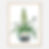 Thumbnail: First Pineapple in Europe