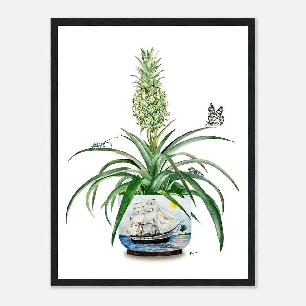 Thumbnail: First Pineapple in Europe