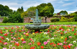 Dollar Park, Falkirk
