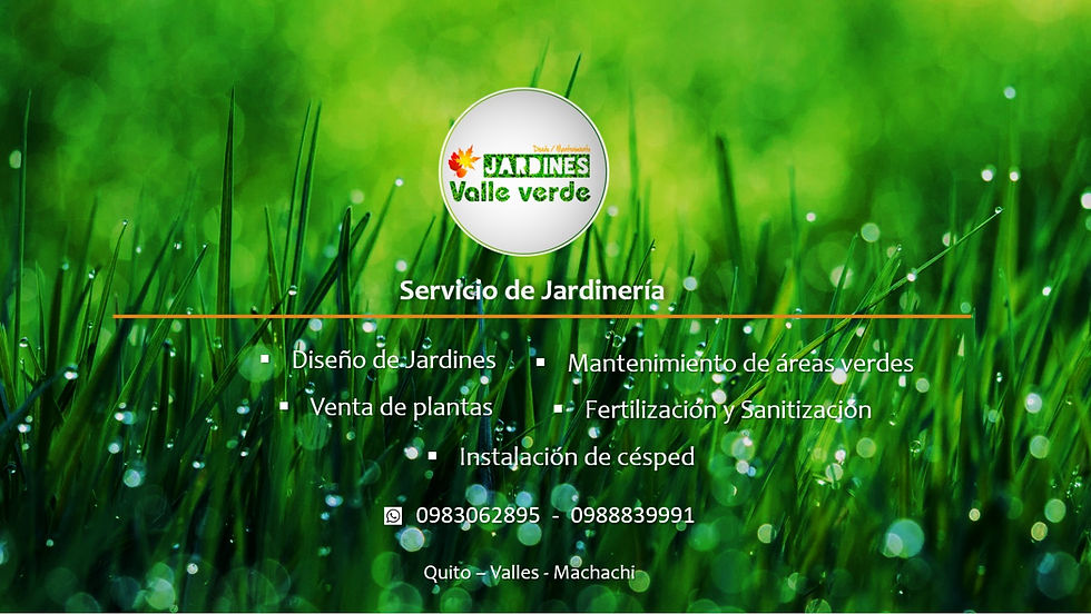 portada facebb.jpg