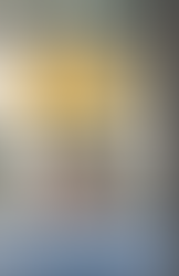 The Secret Life of Bees