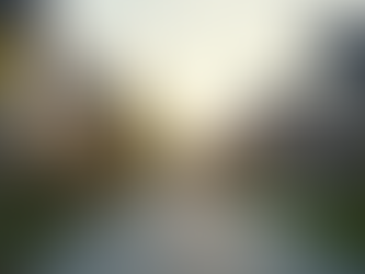 Explore the Latest Real Estate Listings Near You