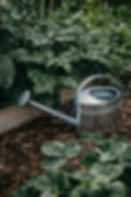 An image of a watering can sitting in a garden full of raised beds