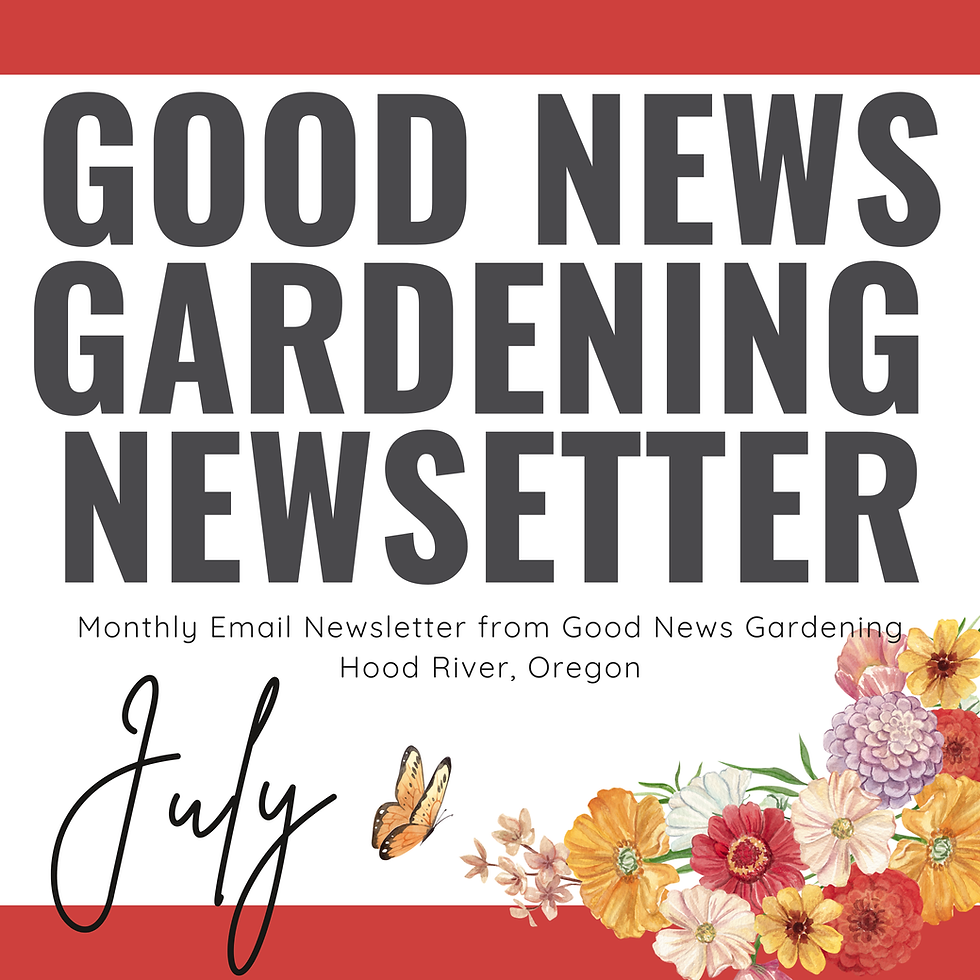 A graphic of the Good News Gardening Newsletter letterhead and a watercolor graphic of a spray of zinnias in orange, red, creamy pink, and rose colors. There is also a watercolor graphic of a yellow butterfly