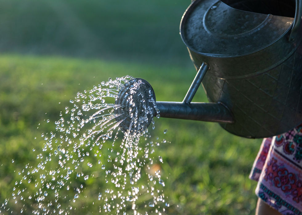 a close up image of a metal watering can with a shower of water coming out of the spout.