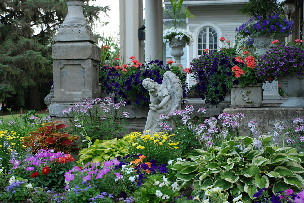 an image of a beautiful perennial garden with a stone statuette of an angel. The garden is filled with hostas, petunias, geraniums, and other lush colorful blooms.