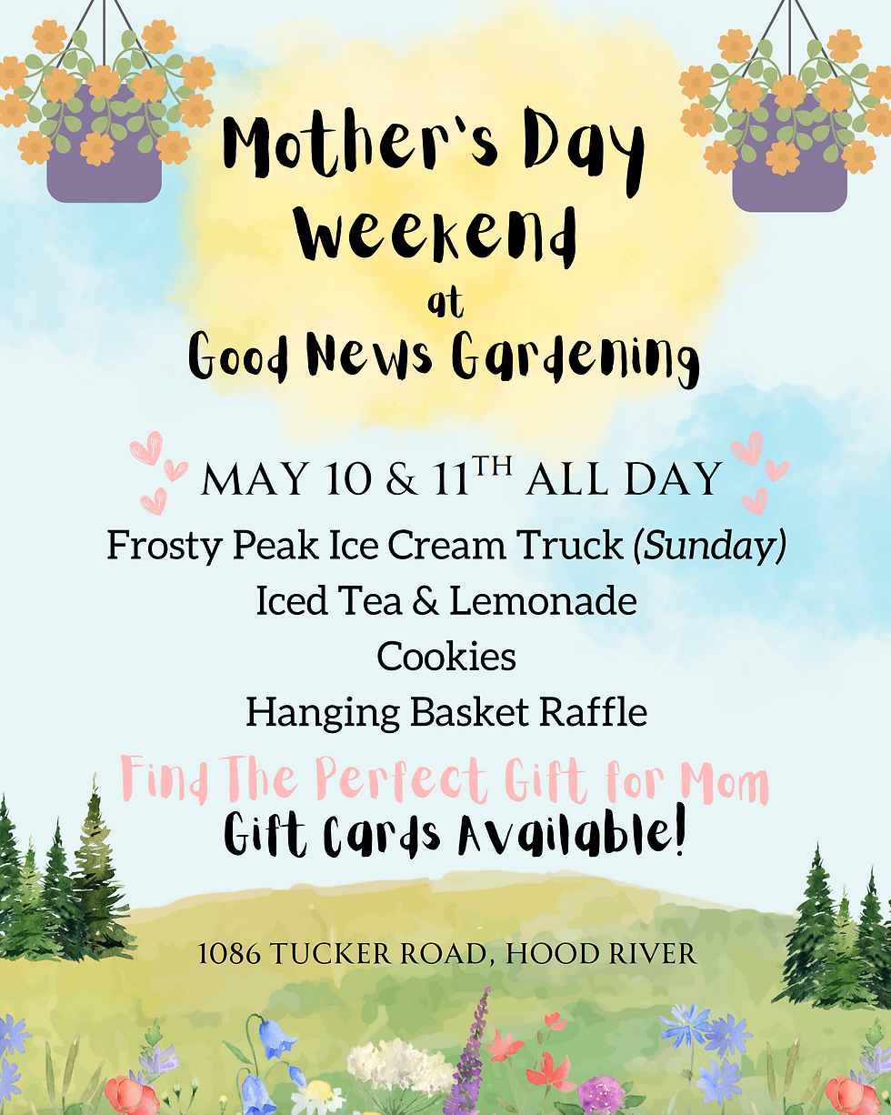 Mother's Day Weekend