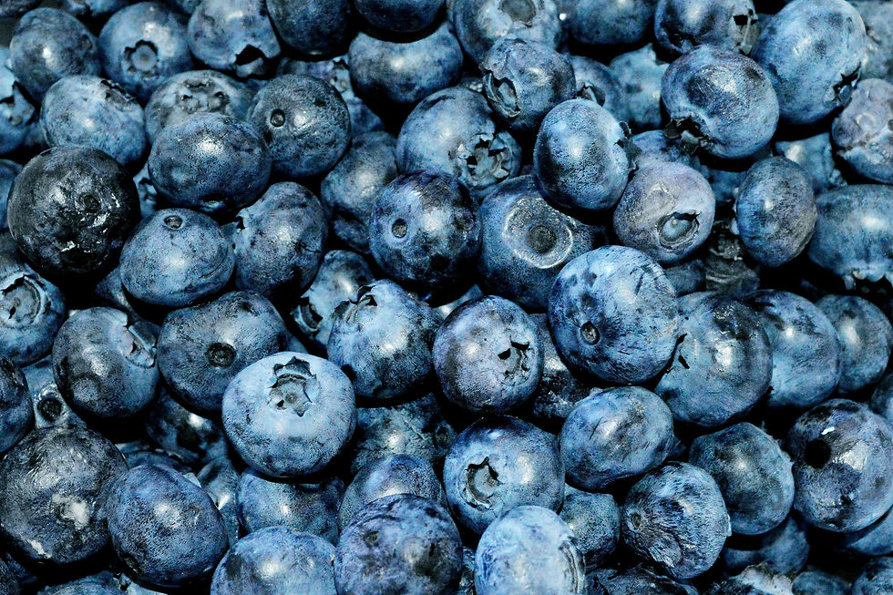 A close up image of hundreds of blueberries grouped together.