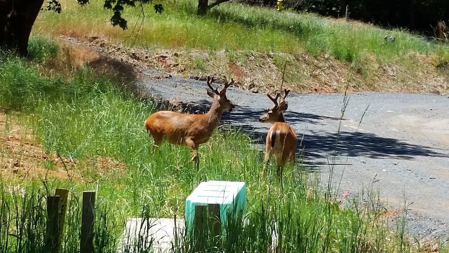 Jacksonville OR Real Estate luxury living in historic landmark town