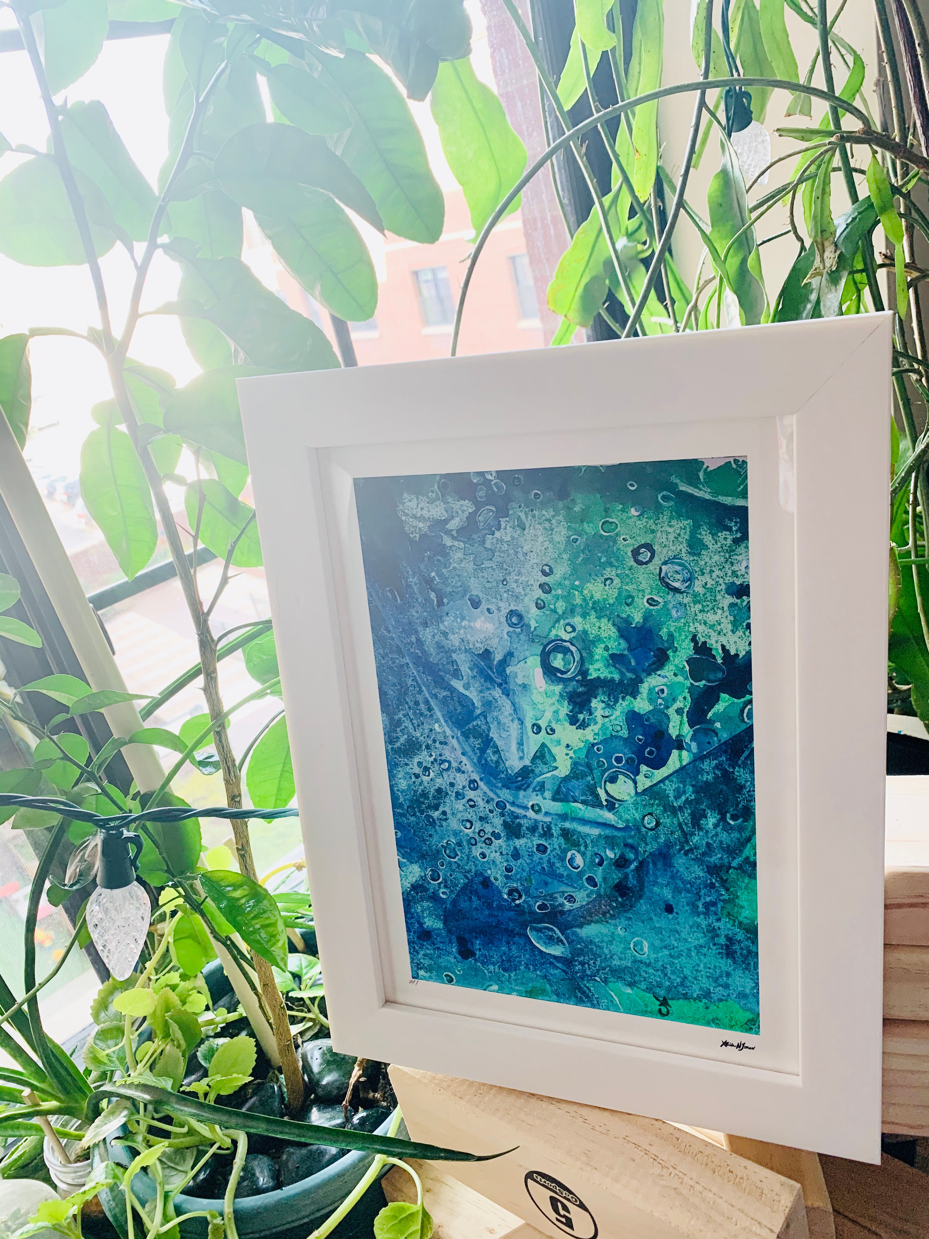 White Framed print of Sea Leaves, Environment