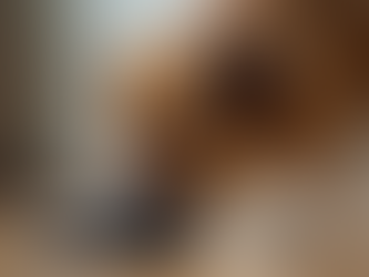 Unlocking Potential: The Profound Physical and Emotional Benefits of Scent Detection Training for Dogs