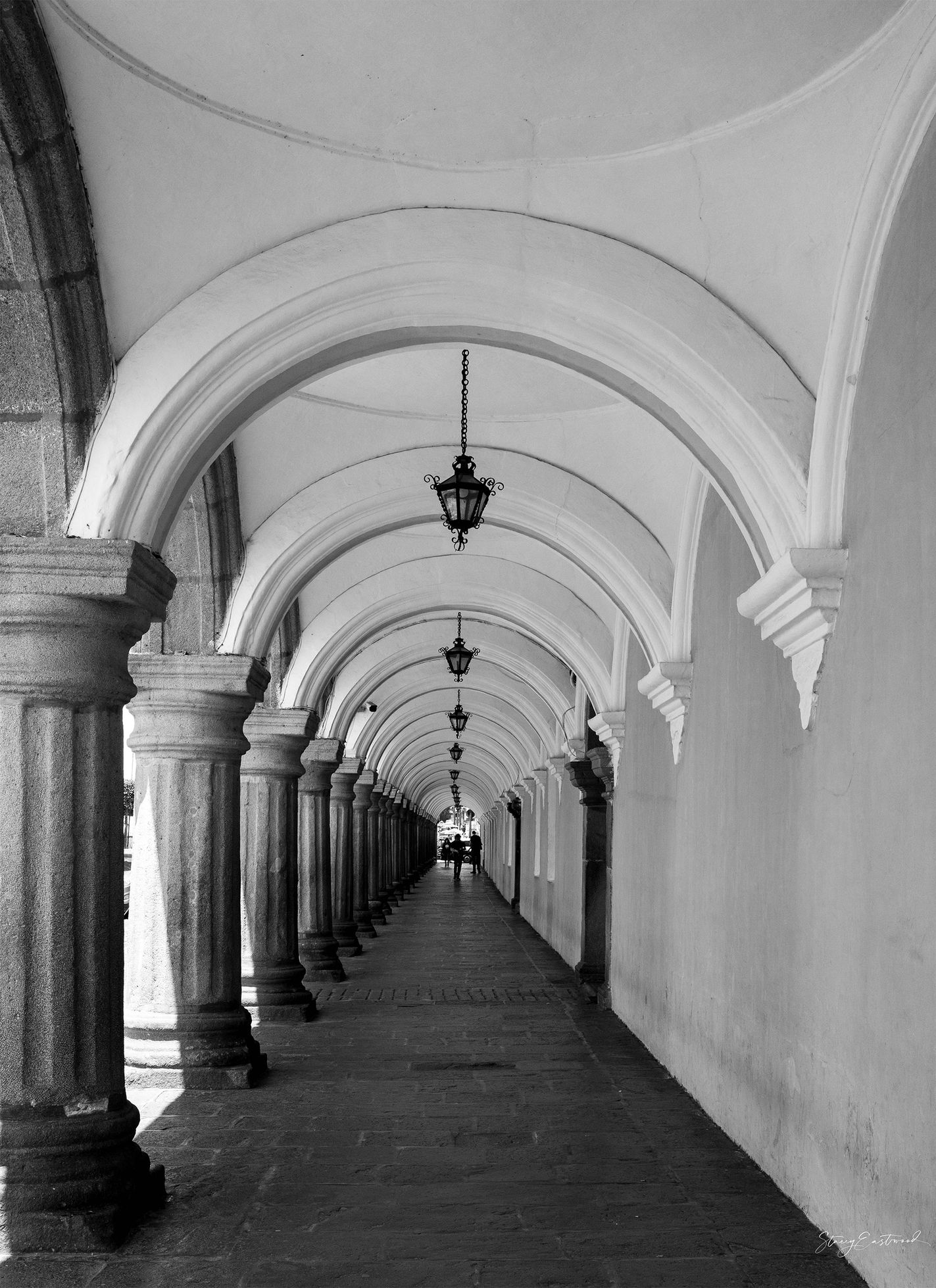 NZDP100-WEEK6-EASTWOOD-STACEY-B&W