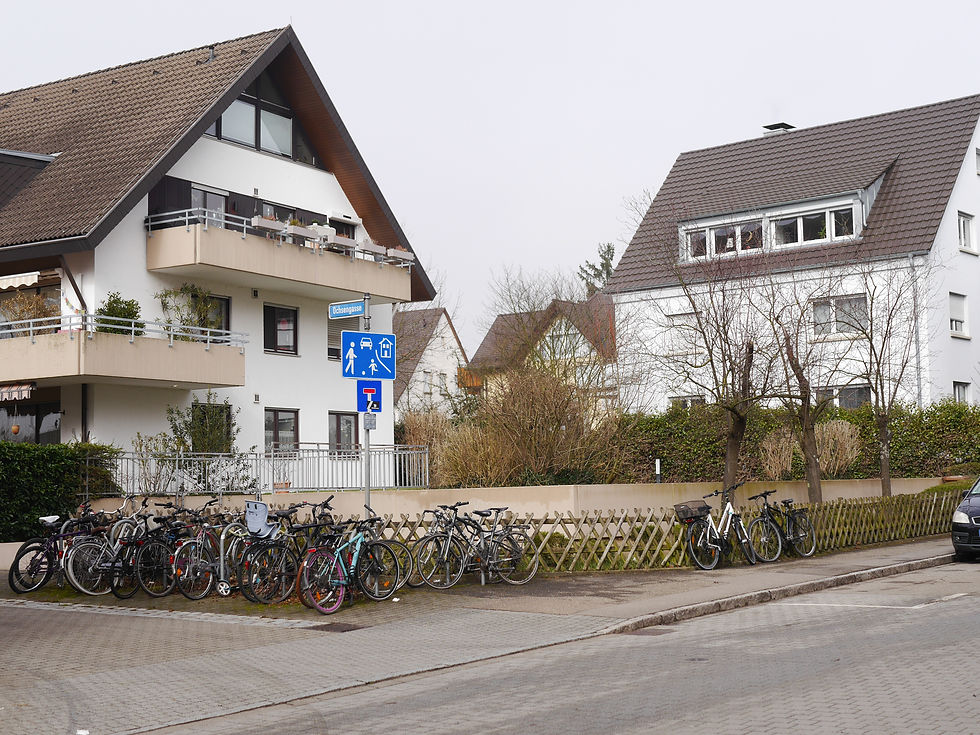 Wildtalstraße Zähringen / März 2026/ Bild: privat