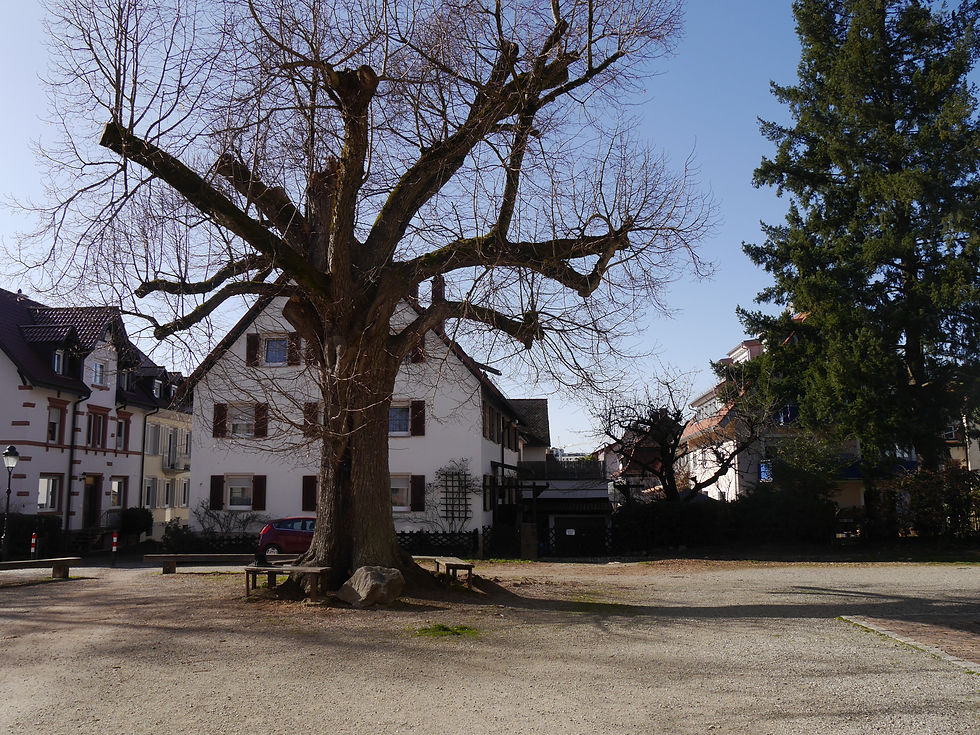 Kirchplatz Zähringen / März 2026/ Bild: privat