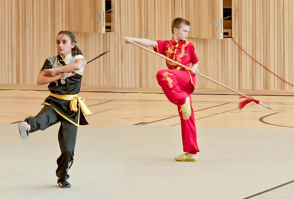 1. Qualifikationsturnier Swiss Wushu 2024