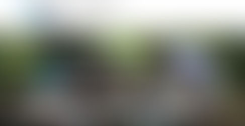 The IUCN National Committee of the Netherlands (IUCN NL) invites applications for its Land Acquisition Fund (LAF)