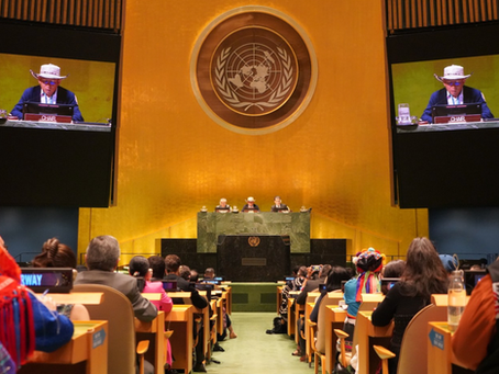 Information on the 23rd Session of United Nations Permanent Forum on Indigenous Issues