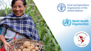 Indigenous Peoples’ Questionnaire on Pesticides and the Right to Free, Prior and Informed Consent (FPIC) 