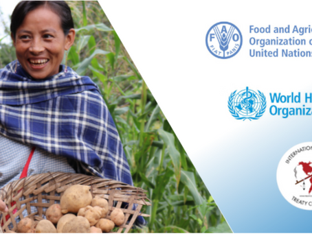 Indigenous Peoples’ Questionnaire on Pesticides and the Right to Free, Prior and Informed Consent (FPIC)