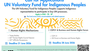 Opportunities with the UN Voluntary Fund 