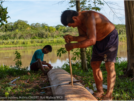 MEDIA STATEMENT ON THE INTERNATIONAL DAY OF THE WORLD’S INDIGENOUS PEOPLES