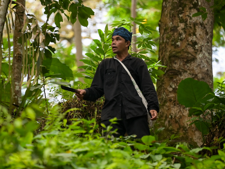 Q&A: To Save The Planet, Traditional Indigenous Knowledge Is Indispensable