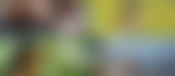 Nominate Now! The Equator Prize 2023