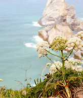 IMG_0673.JPG