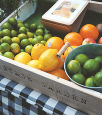 Fitnessstudio Niederprüm fitZone Ernährungsberatung