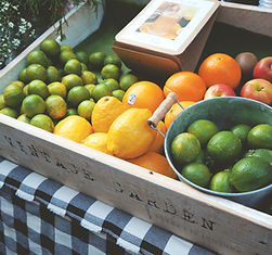 Crate of Fresh Fruit