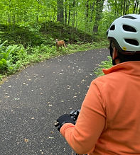 Bike trail.jpeg