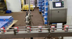 Couple at the Cheese Stand