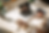 Adjointe cover (Label).png