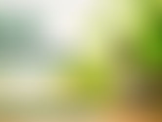 CBD Wirkung & Anwendungsgebiete – der vollständige Guide 2026