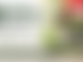Welche gesundheitlichen Vorteile hat CBD?