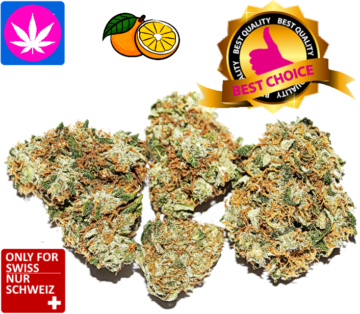 CBD Orange Bud