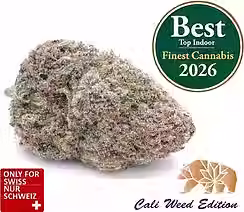 Runtz CBD Blüte