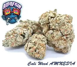 CBD Hanf kaufen Schweiz