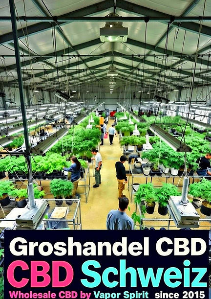 cbd grosshandel