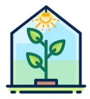 Cbd Blüten kaufen