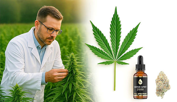 CBD Genve - Shop et Magasin Lausanne | www.vaporspirit.ch