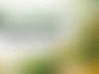 CBC Cannabinoid: Wirkung, Fakten und Einordnung