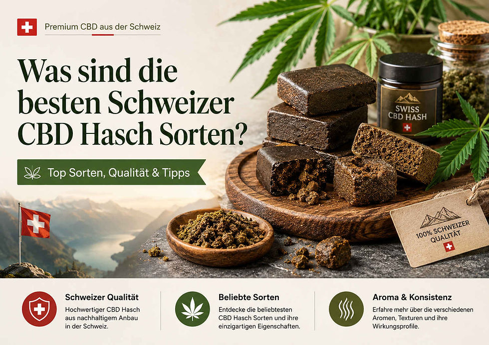 Was sind die besten Schweizer CBD Hasch Sorten?
