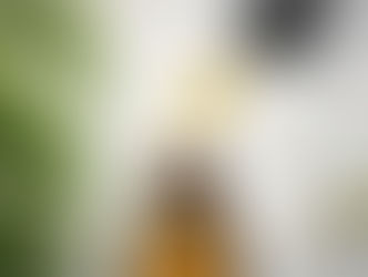 CBD Baden – CBD Öl & CBD Shop in Baden