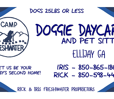doggie daycare BUSINESS CARD FRONT.png