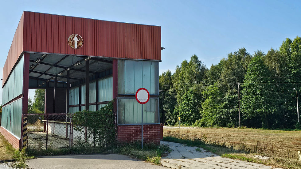 Tanz der Vampire oder tanzen die Bären?