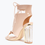 Thumbnail: Echo Nude Translucent Chunky Heel