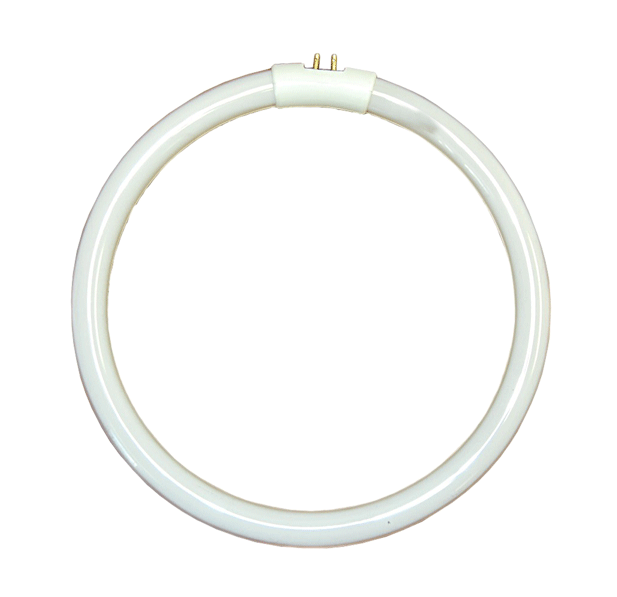 Singapore Fluorescent Ring Tube
