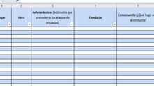 Registro Anecdótico