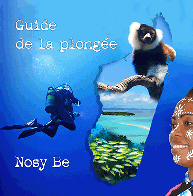 Centre De Plongee Nosy Be Madagascar Oceane S Dream Madagascar Croisieres